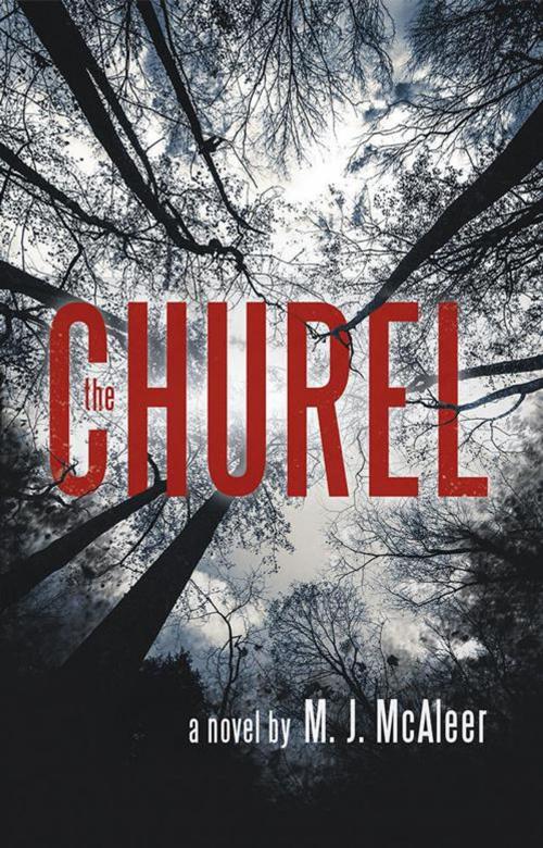 Cover of the book The Churel by M. J. McAleer, Archway Publishing