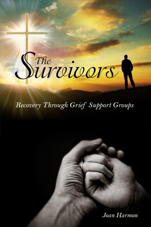 Cover of the book The Survivors by Joan Harmon, Dorrance Publishing