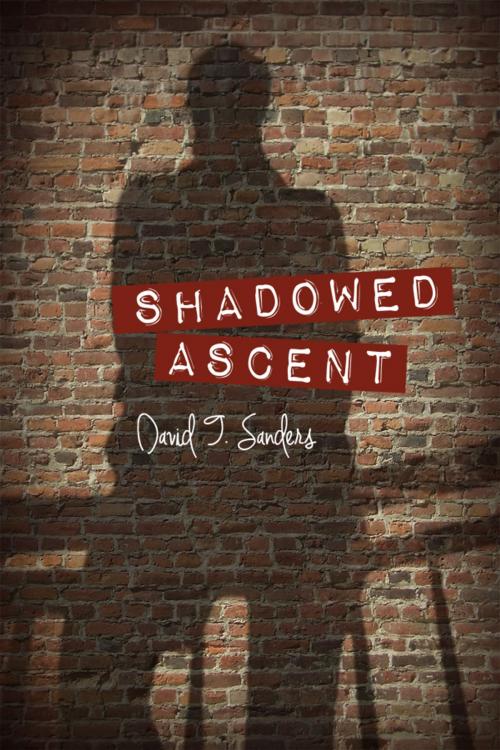 Cover of the book Shadowed Ascent by David T. Sanders, Dorrance Publishing