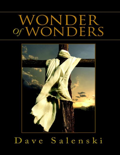 Cover of the book Wonder of Wonders by Dave Salenski, Lulu Publishing Services