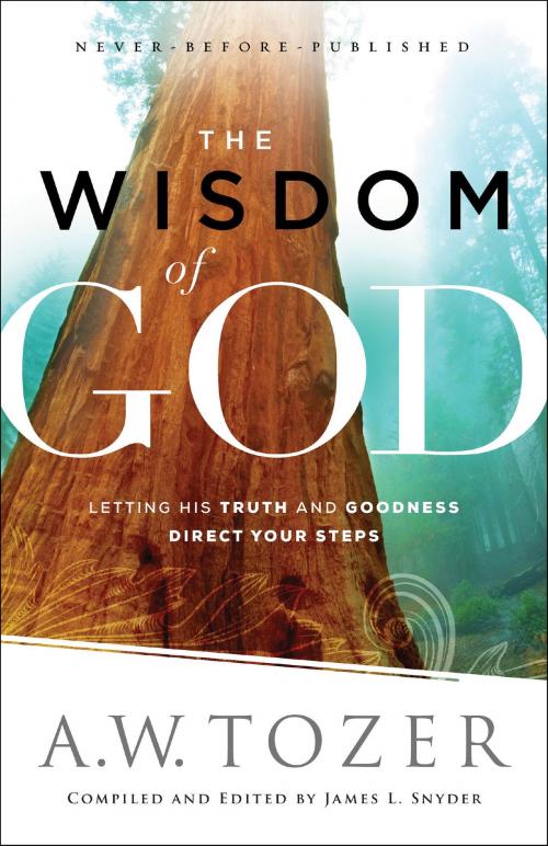 Cover of the book The Wisdom of God by A.W. Tozer, Baker Publishing Group