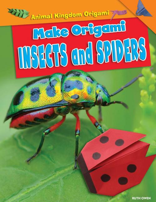 Cover of the book Make Origami Insects and Spiders by Ruth Owen, The Rosen Publishing Group, Inc
