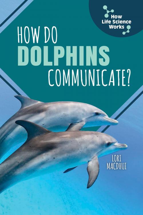 Cover of the book How Do Dolphins Communicate? by Lori MacDhui, The Rosen Publishing Group, Inc