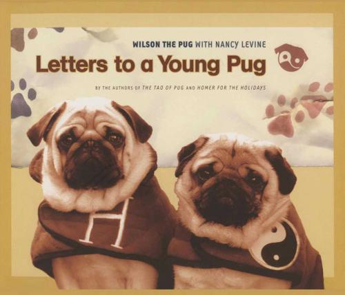 Cover of the book Letters to a Young Pug by Nancy Levine, Wilson the Pug, Skyhorse