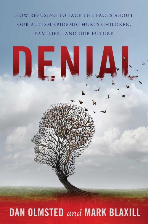 Cover of the book Denial by Mark Blaxill, Dan Olmsted, Skyhorse