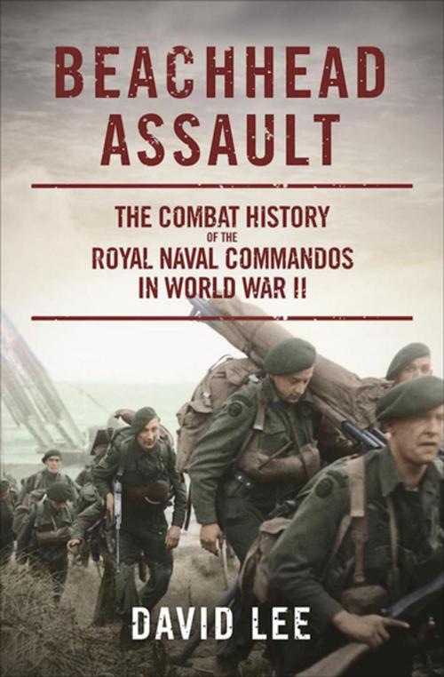 Cover of the book Beachhead Assault by David Lee, Skyhorse Publishing