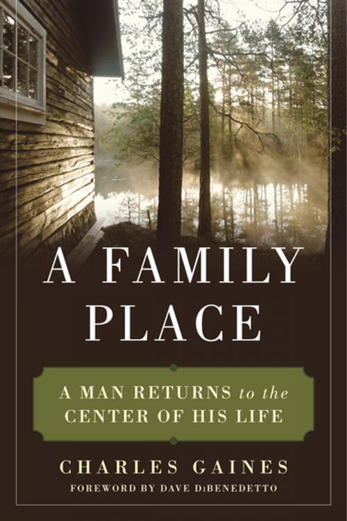 Cover of the book A Family Place by Charles Gaines, Skyhorse Publishing