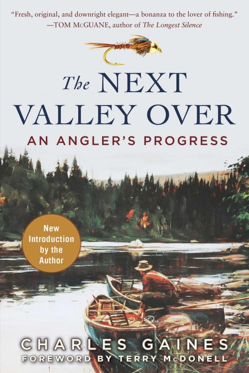 Cover of the book The Next Valley Over by Charles Gaines, Skyhorse