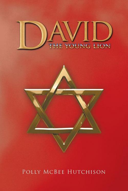 Cover of the book David by Polly McBee Hutchison, iUniverse