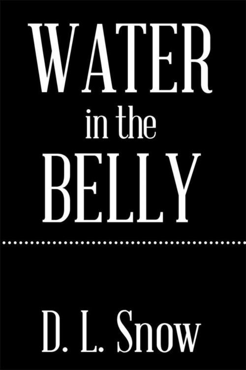 Cover of the book Water in the Belly by D.L. Snow, Xlibris US