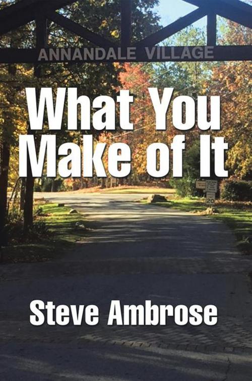 Cover of the book What You Make of It by Steve Ambrose, Xlibris US