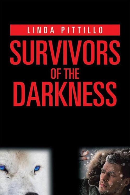 Cover of the book Survivors of the Darkness by Linda Pittillo, Xlibris US