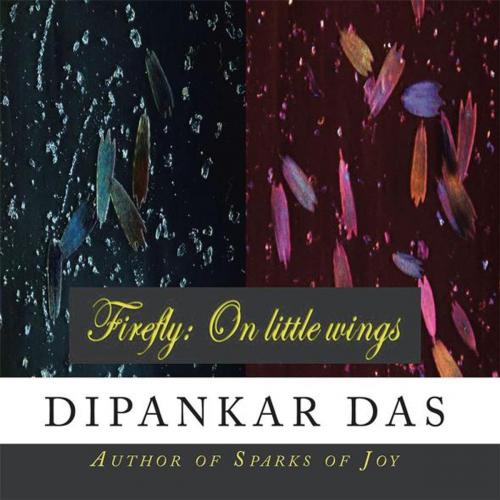 Cover of the book Firefly: on Little Wings by Dipankar Das, Partridge Publishing India
