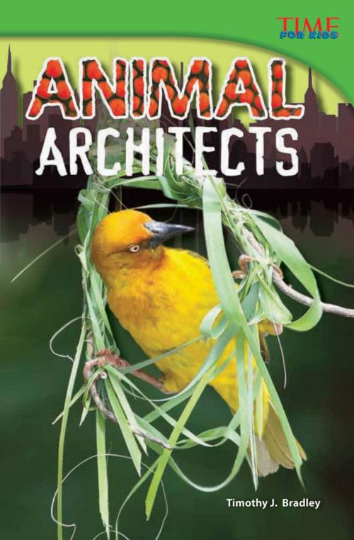 Cover of the book Animal Architects by Timothy J. Bradley, Teacher Created Materials