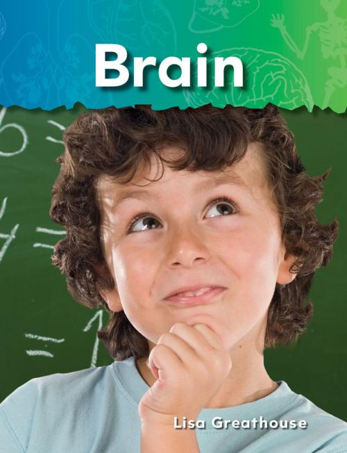 Cover of the book Brain by Lisa Greathouse, Teacher Created Materials