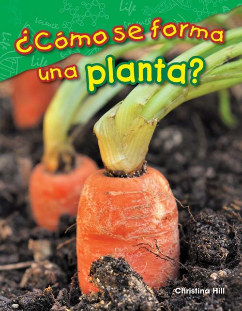 Cover of the book ¿Cómo se forma una planta? by Christina Hill, Teacher Created Materials
