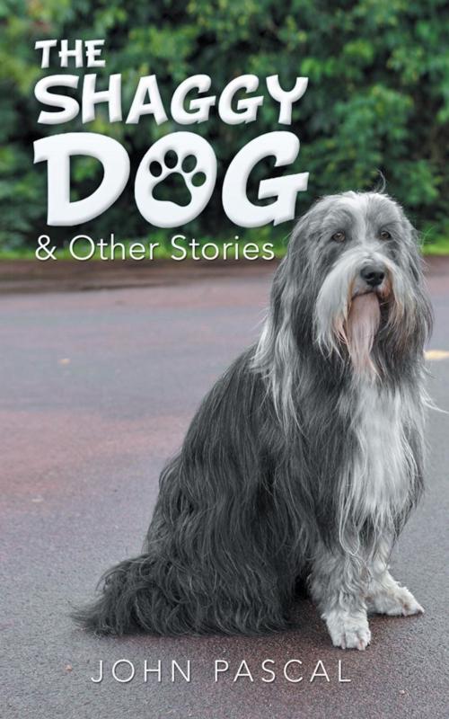 Cover of the book The Shaggy Dog & Other Stories by John Pascal, AuthorHouse