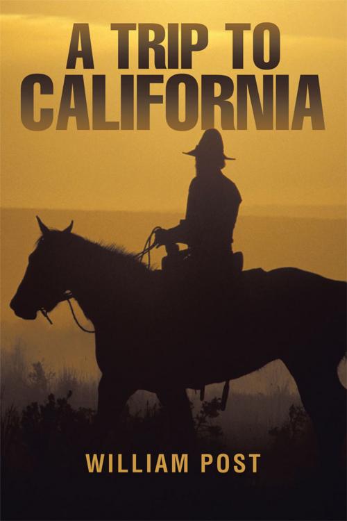 Cover of the book A Trip to California by William Post, AuthorHouse