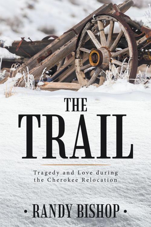 Cover of the book The Trail by Randy Bishop, AuthorHouse