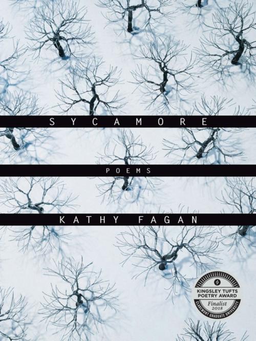Cover of the book Sycamore by Kathy Fagan, Milkweed Editions