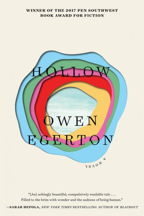 Cover of the book Hollow by Owen Egerton, Soft Skull Press