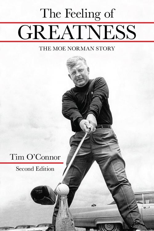Cover of the book The Feeling of Greatness by Tim O'Connor, Brown Books Publishing Group