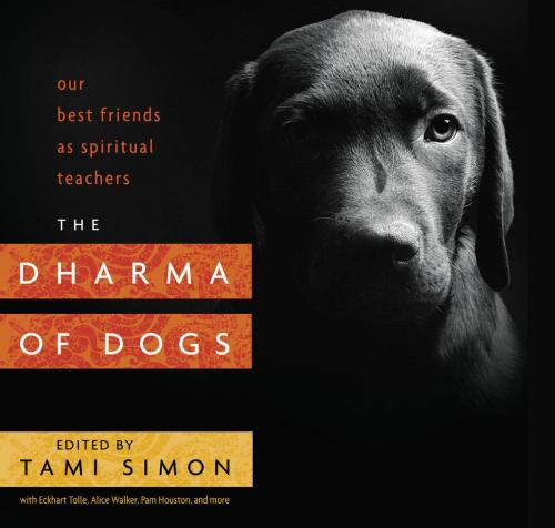 Cover of the book The Dharma of Dogs by , Sounds True