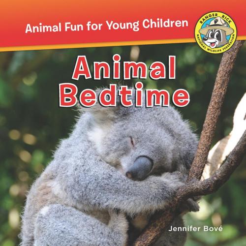 Cover of the book Animal Bedtime by Jennifer Bové, Muddy Boots