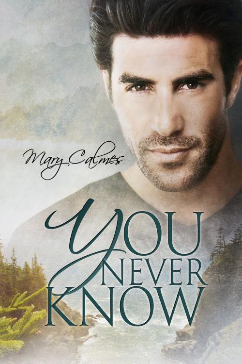 Cover of the book You Never Know by Mary Calmes, Dreamspinner Press