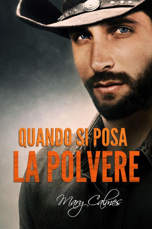 Cover of the book Quando si posa la polvere by Mary Calmes, Dreamspinner Press