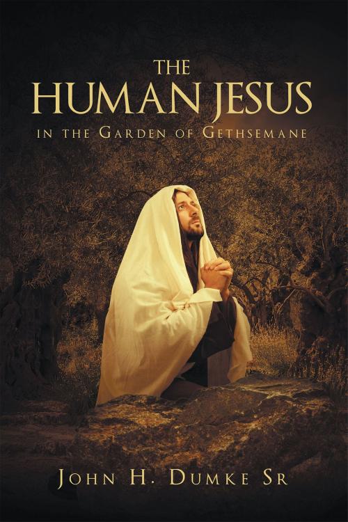 Cover of the book The Human Jesus in the Garden of Gethsemane by John H. Dumke Sr., Christian Faith Publishing