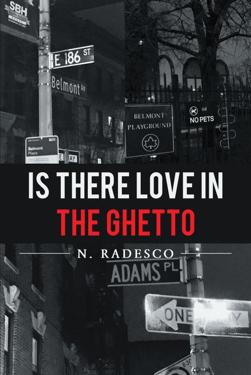 Cover of the book Is There Love in the Ghetto by N. Radesco, Page Publishing, Inc.