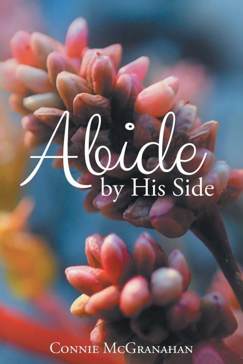 Cover of the book Abide by His Side by Connie McGranahan, Christian Faith Publishing