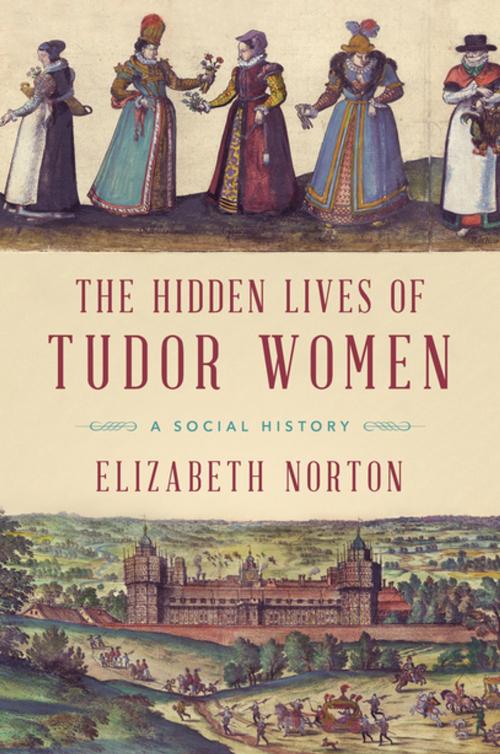 Cover of the book The Hidden Lives of Tudor Women: A Social History by Elizabeth Norton, Pegasus Books