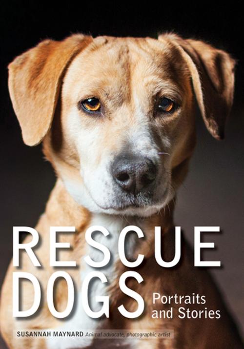 Cover of the book Rescue Dogs by Susannah Maynard, Amherst Media
