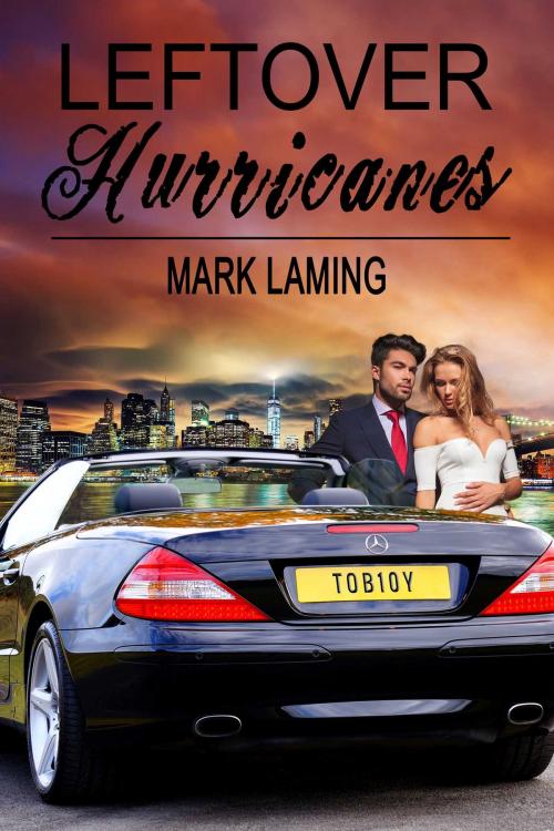 Cover of the book Leftover Hurricanes by Mark Laming, Torrid Books