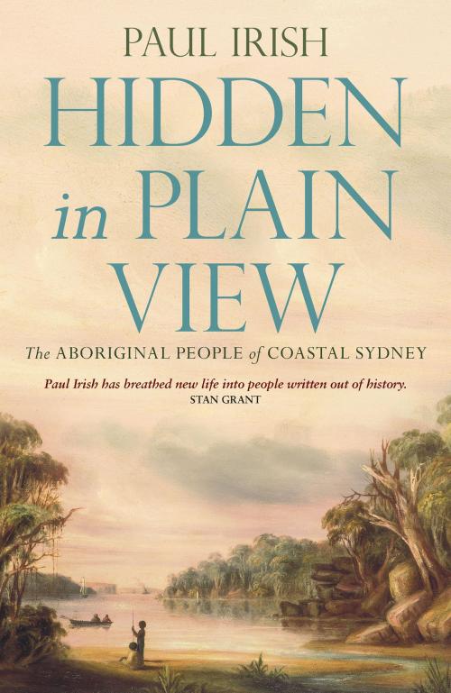 Cover of the book Hidden in Plain View by Paul Irish, University of New South Wales Press