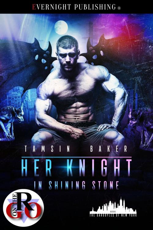 Cover of the book Her Knight in Shining Stone by Tamsin Baker, Evernight Publishing