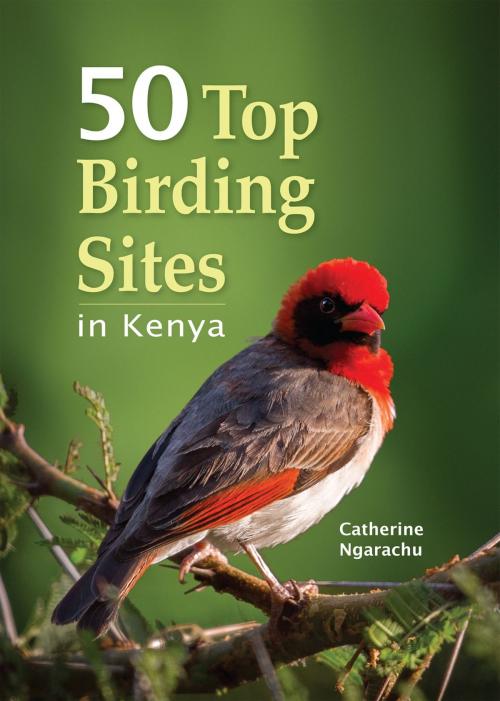Cover of the book 50 Top Birding sites in Kenya by Catherine Ngarachu, Penguin Random House South Africa