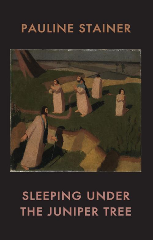Cover of the book Sleeping under the Juniper Tree by Pauline Stainer, Bloodaxe Books
