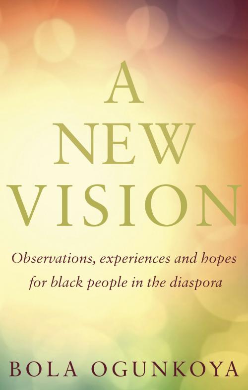 Cover of the book A New Vision by Bola Ogunkoya, Troubador Publishing Ltd