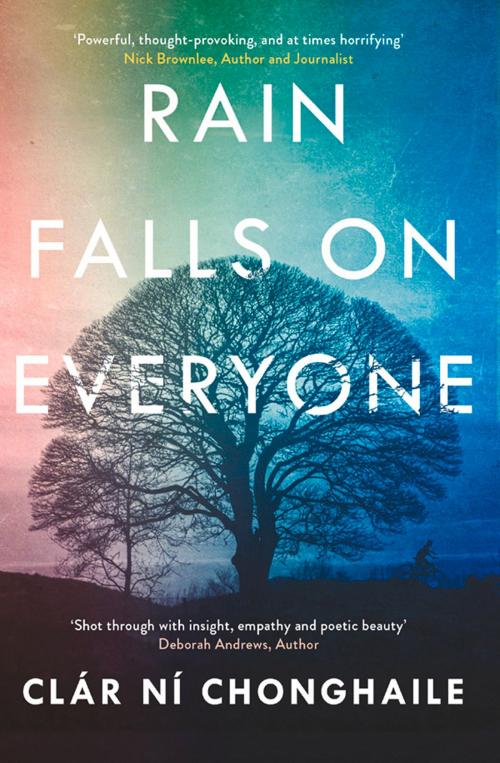 Cover of the book Rain Falls on Everyone by Clár Ní Chonghaile, Legend Times Group