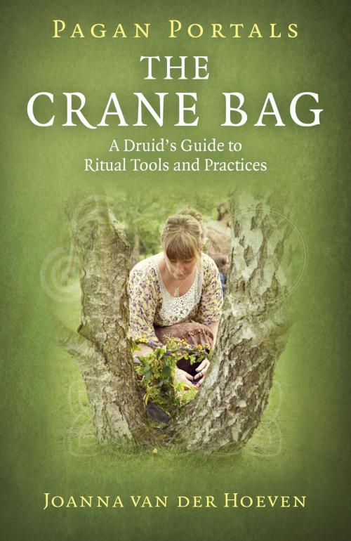 Cover of the book Pagan Portals: The Crane Bag by Joanna van der Hoeven, John Hunt Publishing