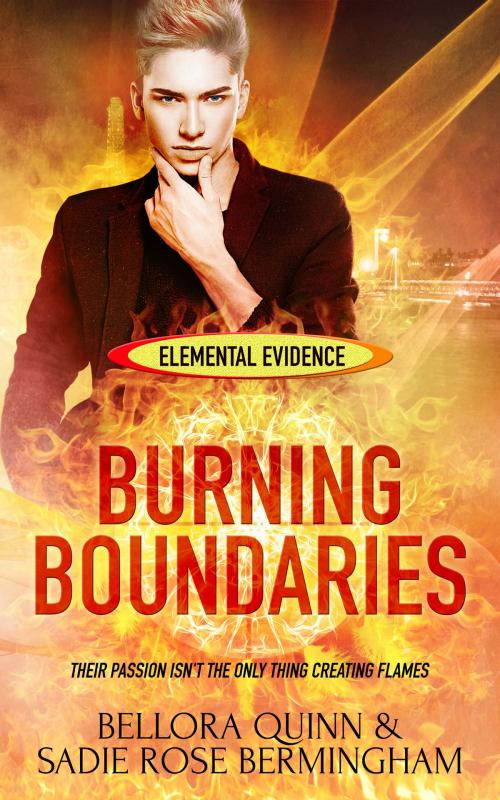 Cover of the book Burning Boundaries by Bellora Quinn, Sadie Rose Bermingham, Totally Entwined Group Ltd