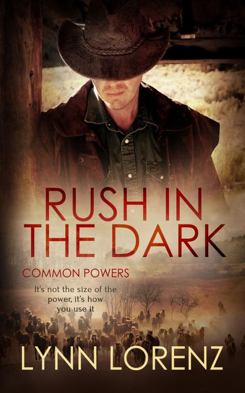 Cover of the book Rush in the Dark by Lynn Lorenz, Totally Entwined Group Ltd