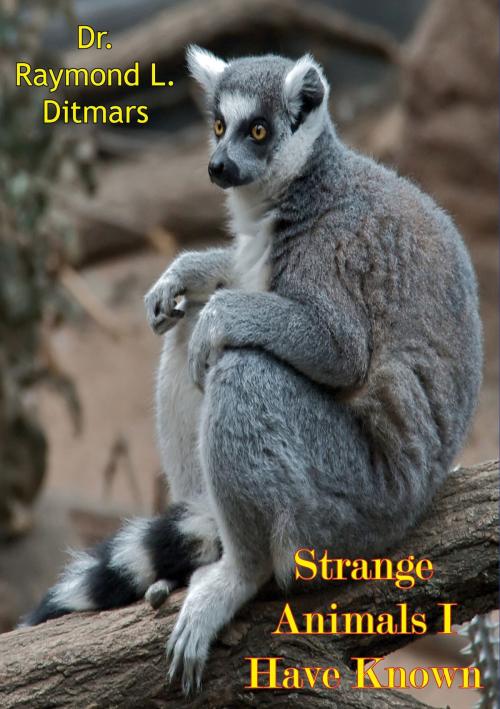 Cover of the book Strange Animals I Have Known by Dr. Raymond L. Ditmars, Muriwai Books