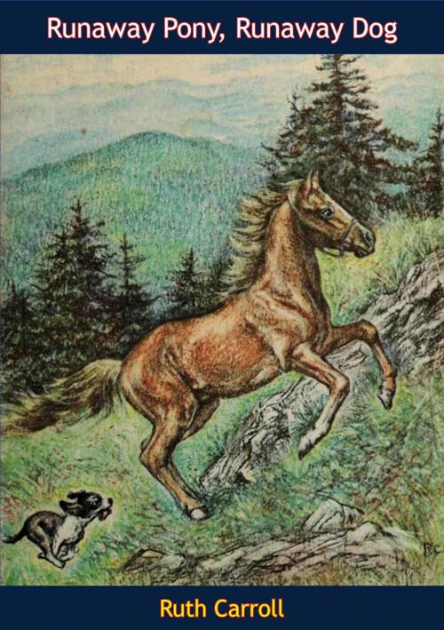 Cover of the book Runaway Pony, Runaway Dog by Ruth Carroll, Muriwai Books