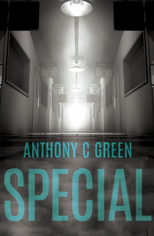 Cover of the book Special by Anthony C Green, Troubador Publishing Ltd