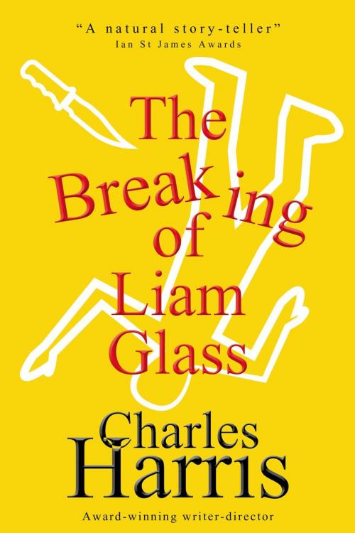 Cover of the book The Breaking of Liam Glass by Charles Harris, Marble City Publishing