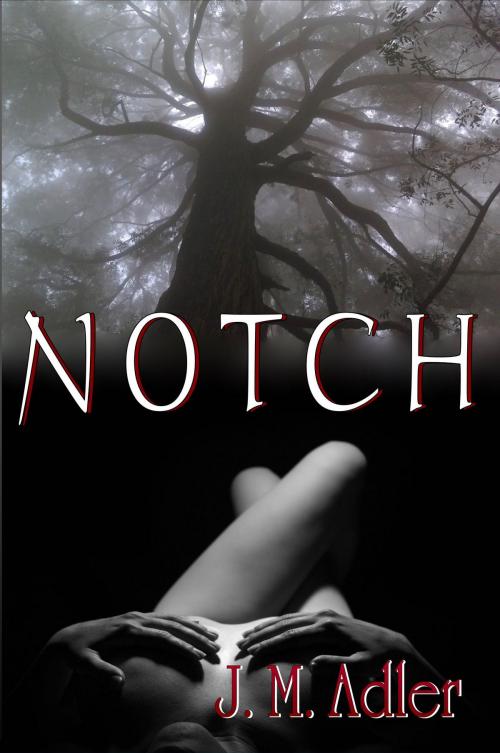 Cover of the book Notch by Jae Mazer, Mirador Publishing